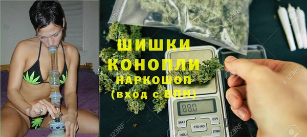 ALPHA PVP Новозыбков