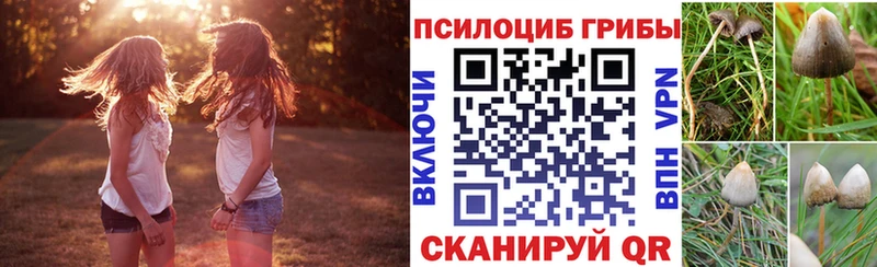 блэк спрут зеркало  купить наркотики сайты  Муравленко  Псилоцибиновые грибы GOLDEN TEACHER 