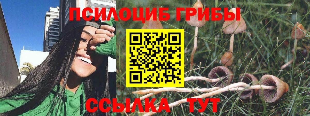 Псилоцибиновые грибы мухоморы  Вход с VPN  Муравленко  Псилоцибиновые грибы ЛСД 