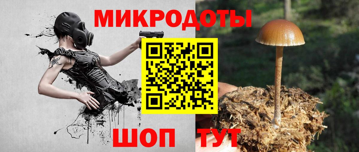 Псилоцибиновые грибы прущие грибы Муравленко